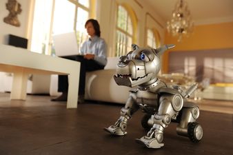 Szenenbild Allein zuhause: Millionärssohn Hardy (Kristo Ferkic) mit seinem Roboterhund Roby © 2012 Constantin Film Verleih GmbH / Bernd Spauke