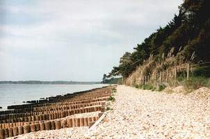 Foto des Strandes vor dem Lepe-House