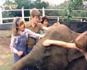 Screenshot (die Fünf Freunde helfen Nobby, den Elefanten zu waschen)