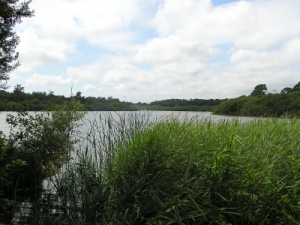 Foto Slowey Pond