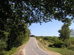 Foto Gatebridge, Nhe Blackfield