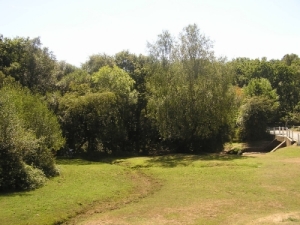 Foto Gatebridge, Nhe Blackfield