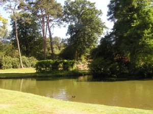 Foto Exbury Gardens