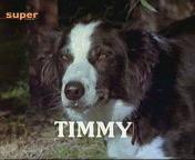 Timmy im Vorspann