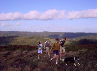 Collage "Famous Five in Dartmoor"