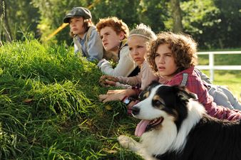 Szenenbild Hardy (Kristo Ferkic), Julian (Quirin Oettl), Anne (Neele Marie Nickel), George (Valeria Eisenbart) und Timmy observieren den Wanderzirkus  2012 Constantin Film Verleih GmbH / Bernd Spauke